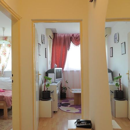 Apartment Daca Stan بلغراد المظهر الخارجي الصورة