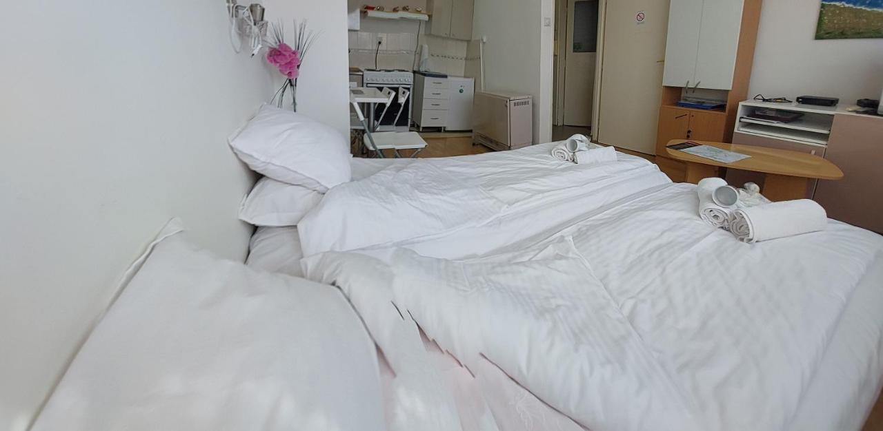 Apartment Daca Stan بلغراد المظهر الخارجي الصورة