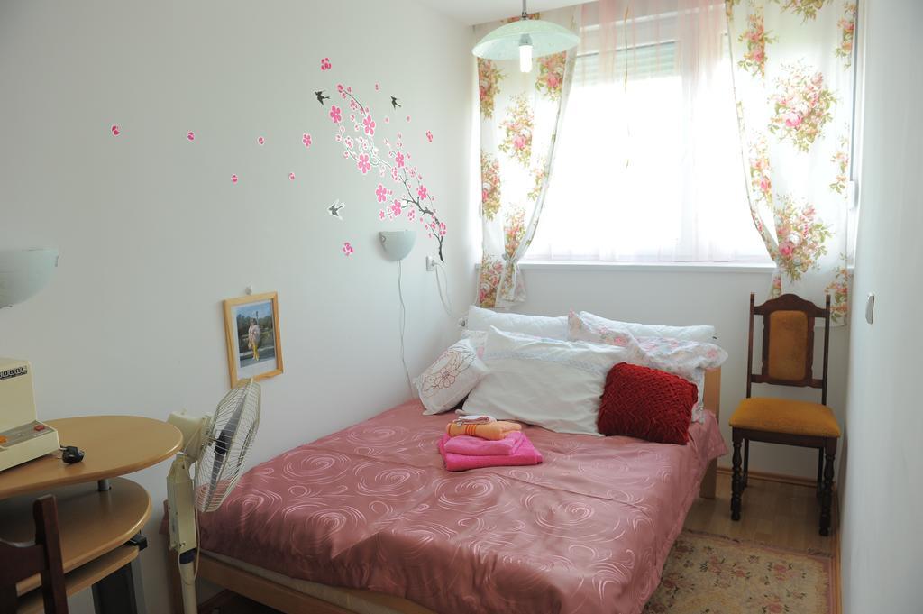 Apartment Daca Stan بلغراد المظهر الخارجي الصورة
