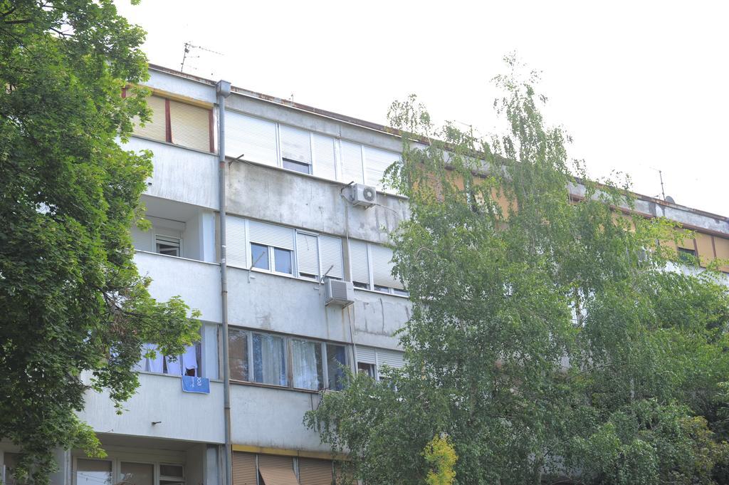 Apartment Daca Stan بلغراد المظهر الخارجي الصورة