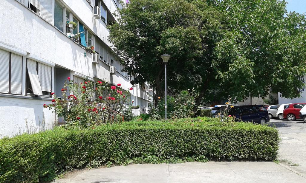 Apartment Daca Stan بلغراد المظهر الخارجي الصورة